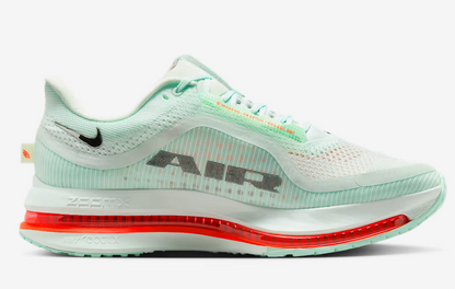 Men's Nike Pegasus Premium