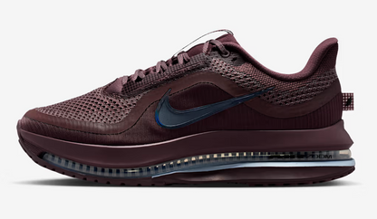 Women's Nike Pegasus Premium