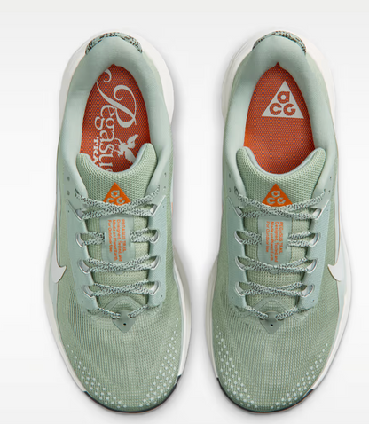 Men's Nike ACG Pegasus Trail